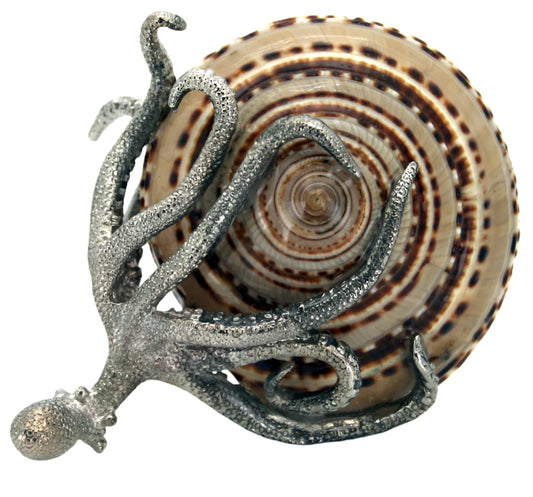 Sundial Pewter Octopus