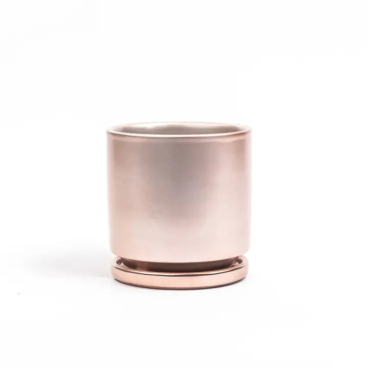 8.25" Cylinder Pots with Water Saucers