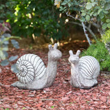 Garden Snails