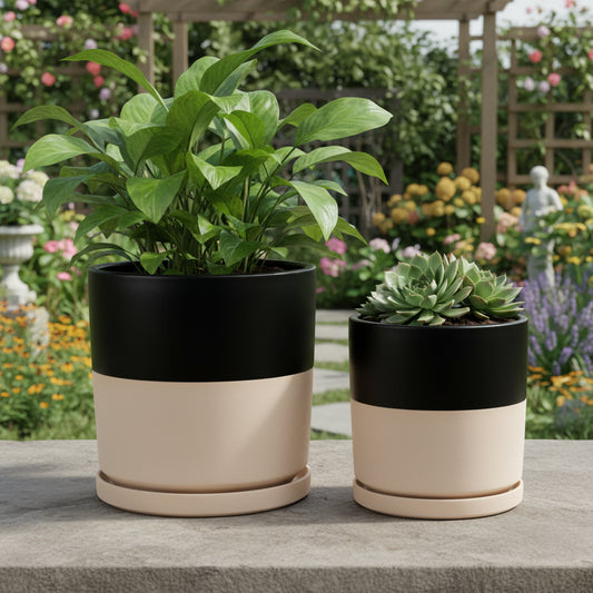 Cylinder Pots with Water Saucers