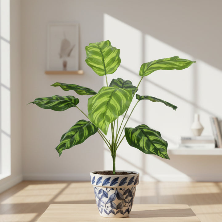16” Uv Dracaena Plant