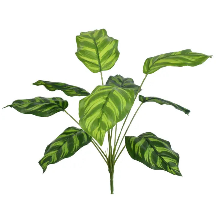16” Uv Dracaena Plant