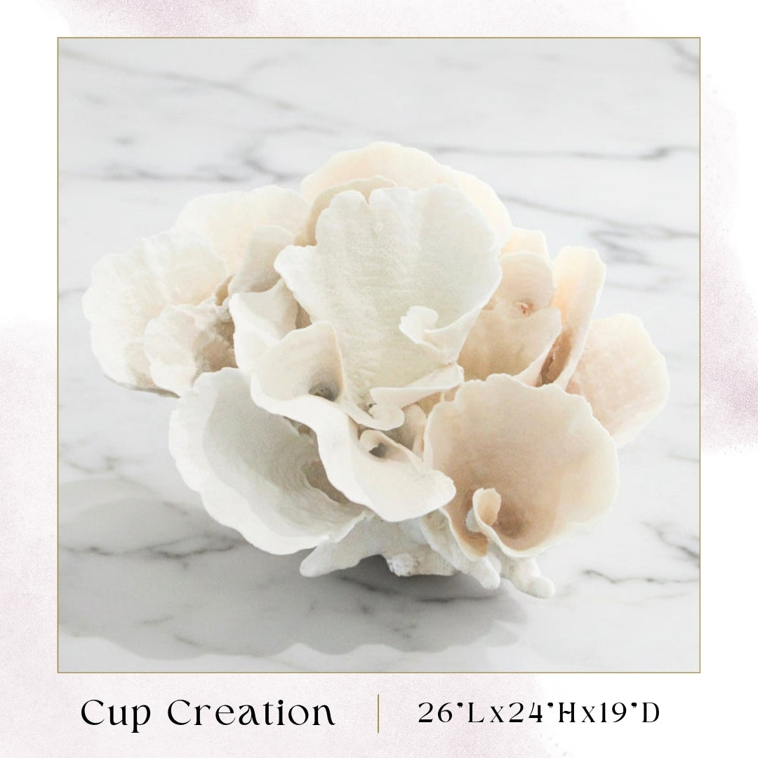 Exclusive Coral Drops | Week 4