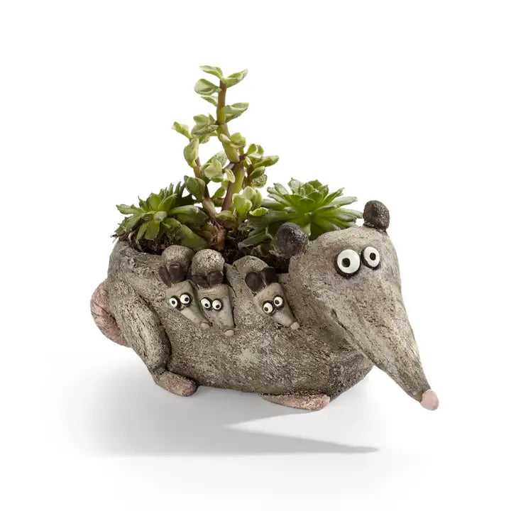Animal Planters