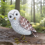 Barn Owl