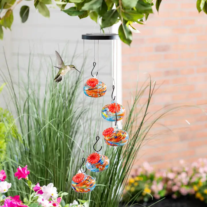Hanging Pollinator Garden Bird Feeder