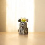 Animal Planters