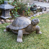 Garden Turtles