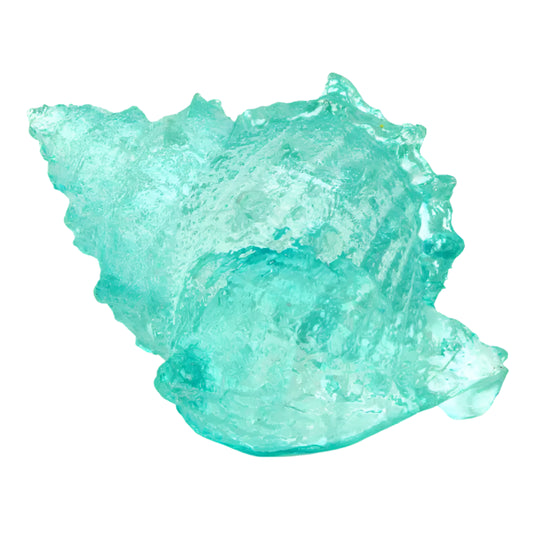 Clear Blue Frog Shell