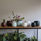 Fronda Planters