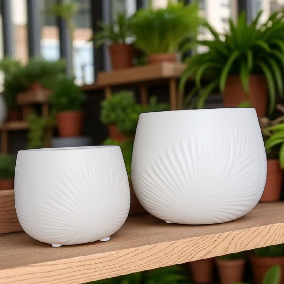 Fronda Planters