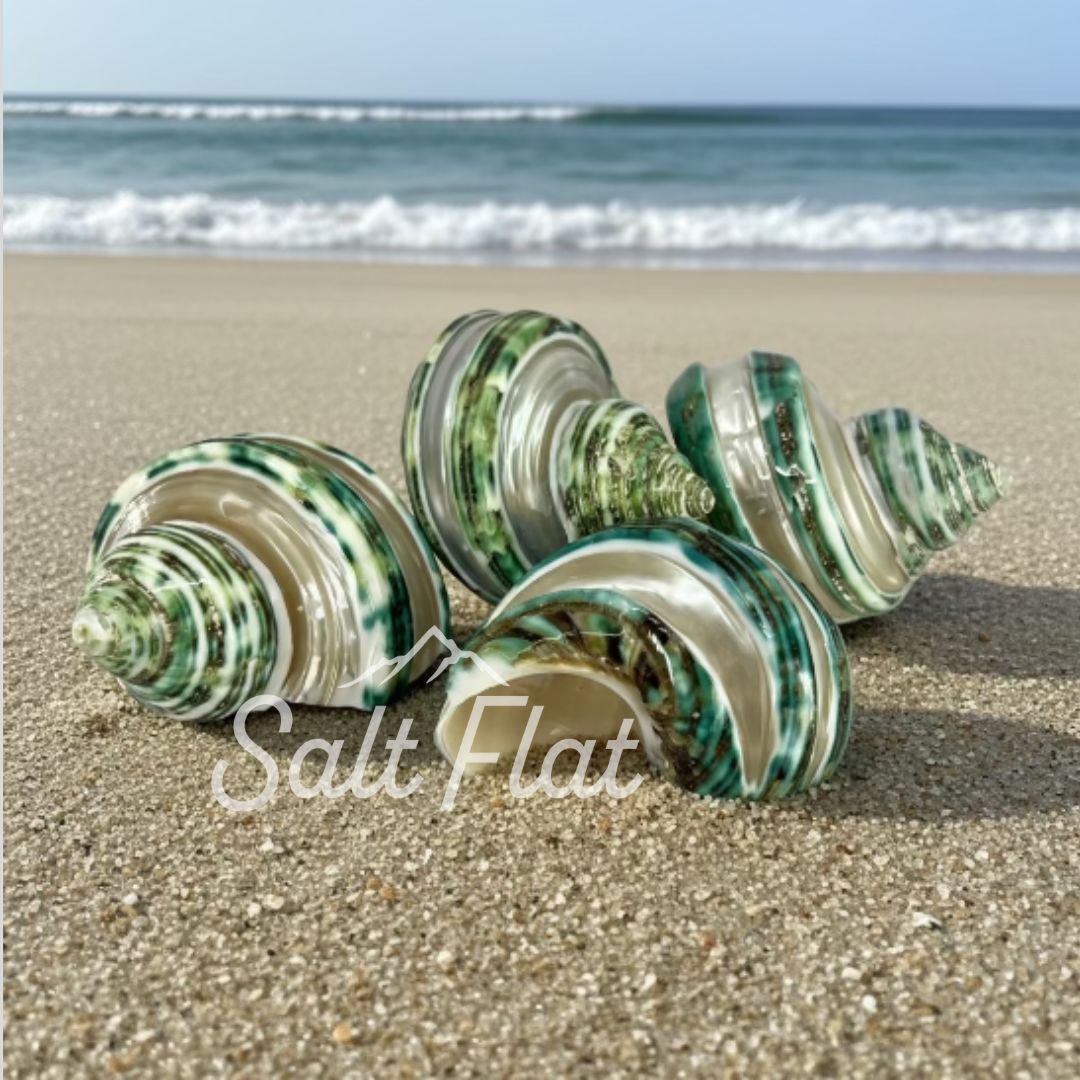 Green Turbo Banded 1.5-2"