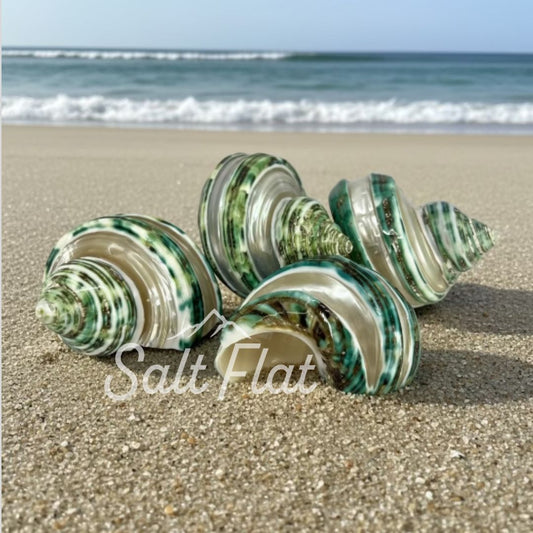 Green Turbo Banded 1.5-2"