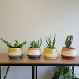 5" Mirage Planter