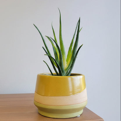 5" Mirage Planter