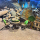 Fairy Garden Kits