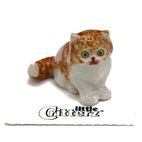Little Critterz™ - Cats & Dogs