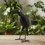 Seedpod Birds