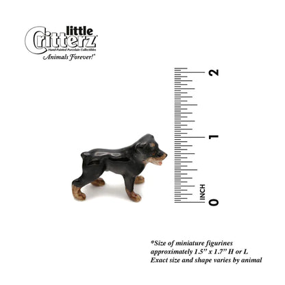 Little Critterz™ - Cats & Dogs