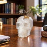 5" Crystal Skull w/ Box