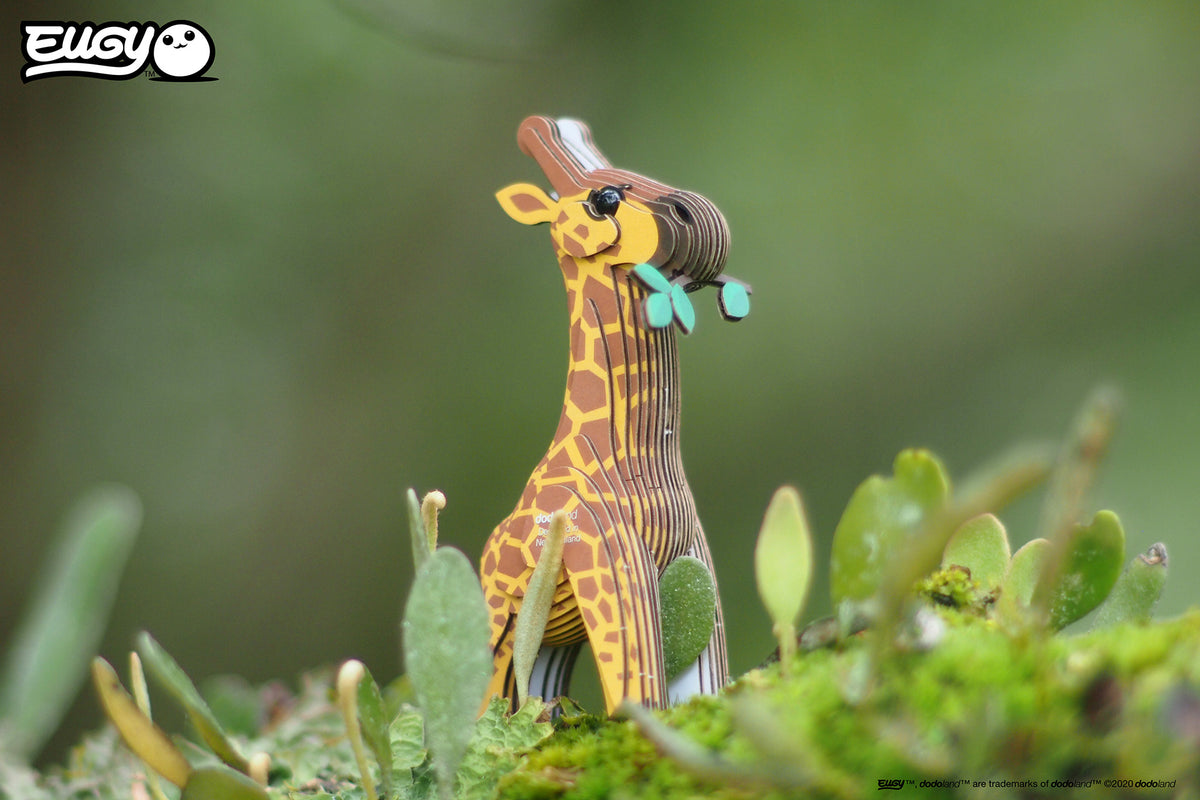 EUGY Plains