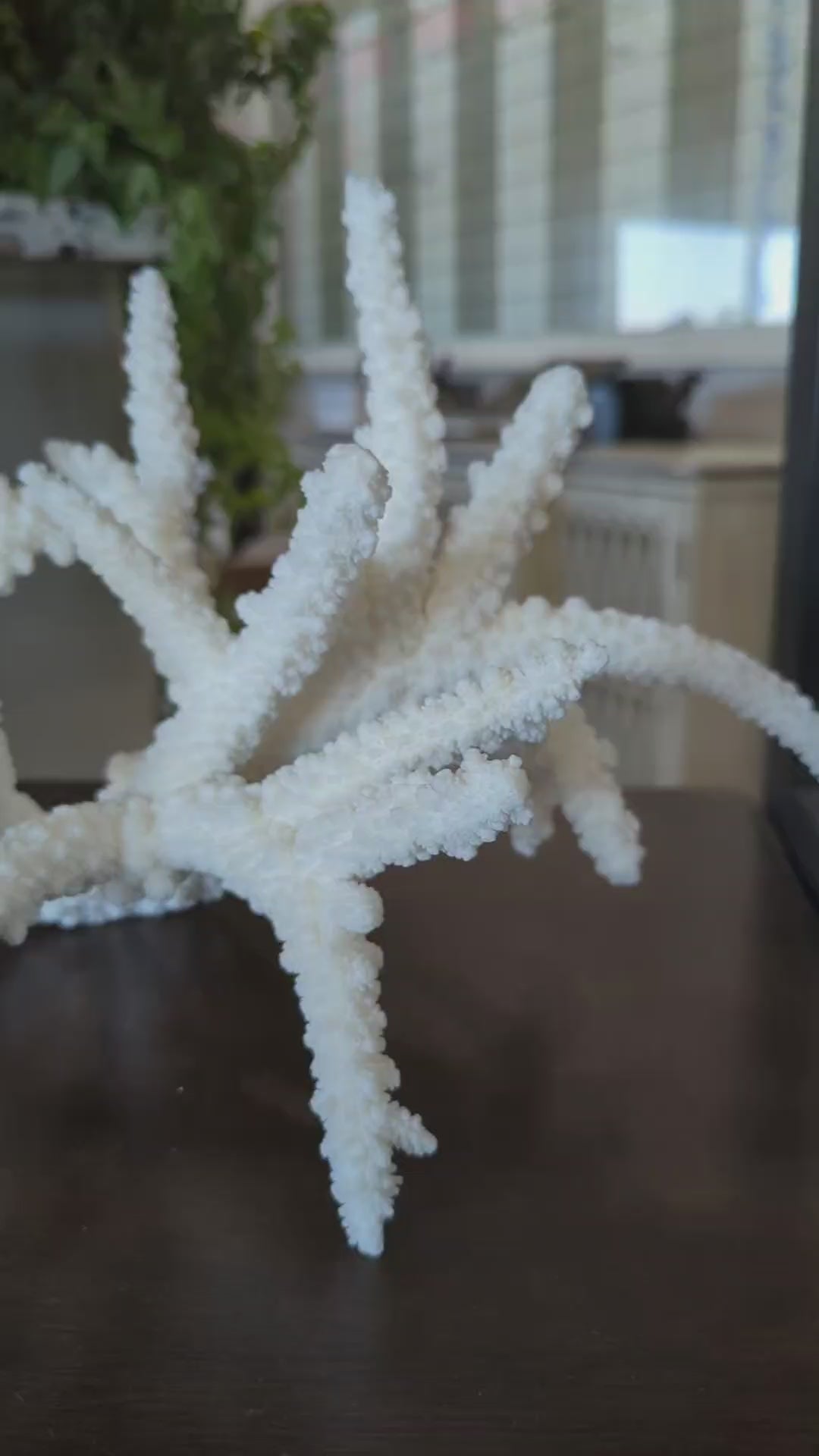 Branch Coral 12-14"