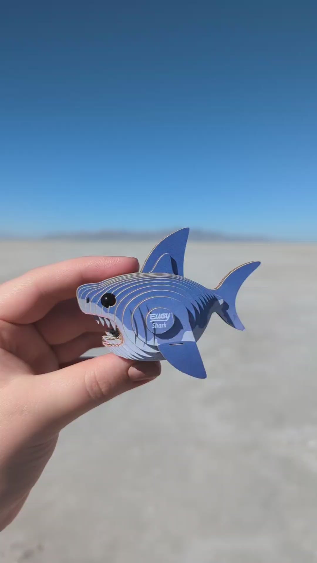 EUGY Sea