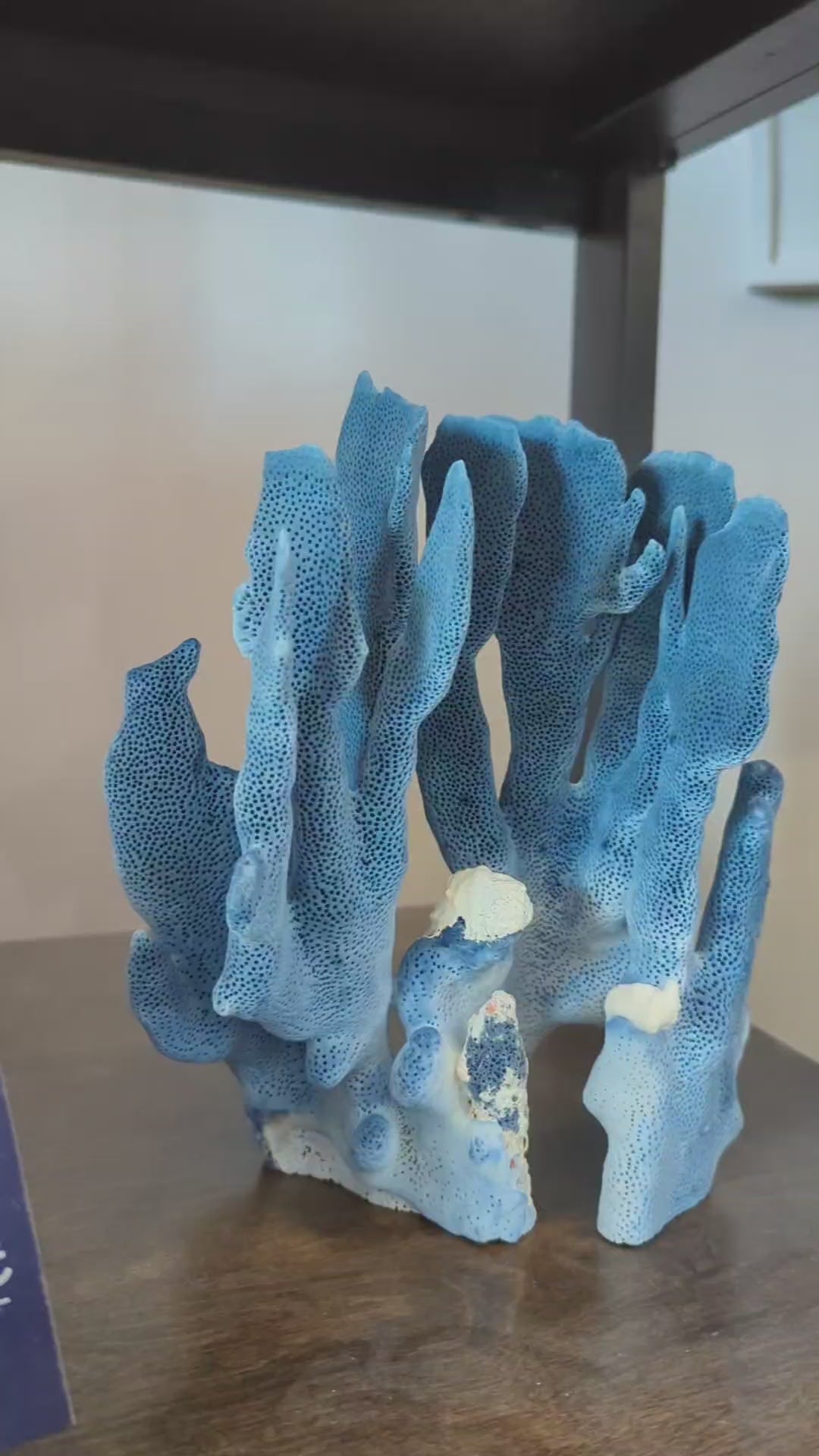 Blue Coral 12-14"