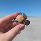 1.5" Marble Turtle
