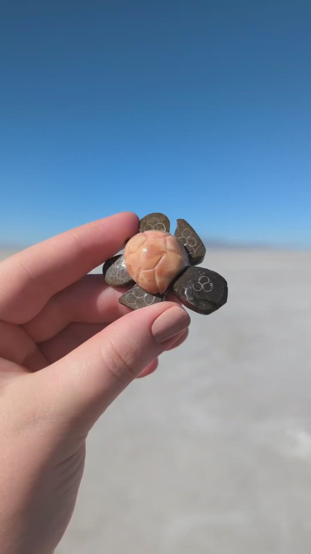 1.5" Marble Turtle