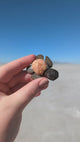 1.5" Marble Turtle