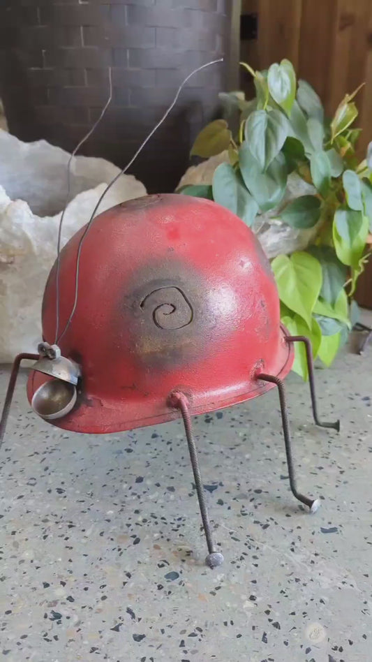 Army Helmet Ladybug