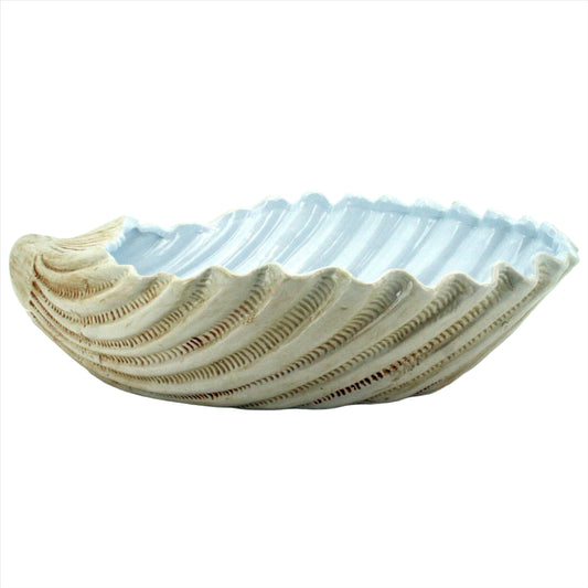 Ceramic Jumbo Clam Shell Bowl