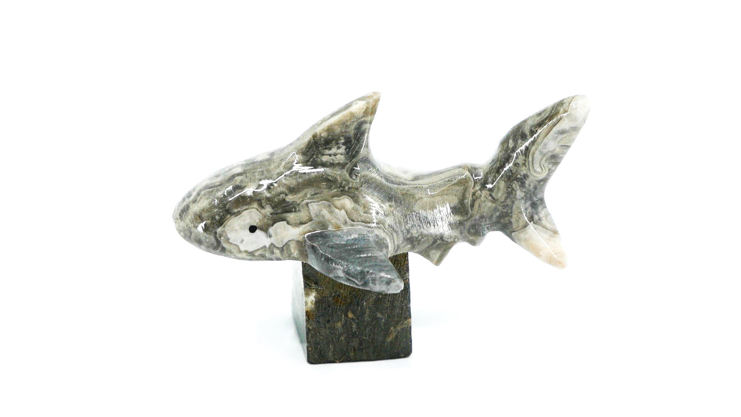 2'' Marble Shark With Stand