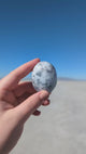 White Dendritic Agate Palm Stone
