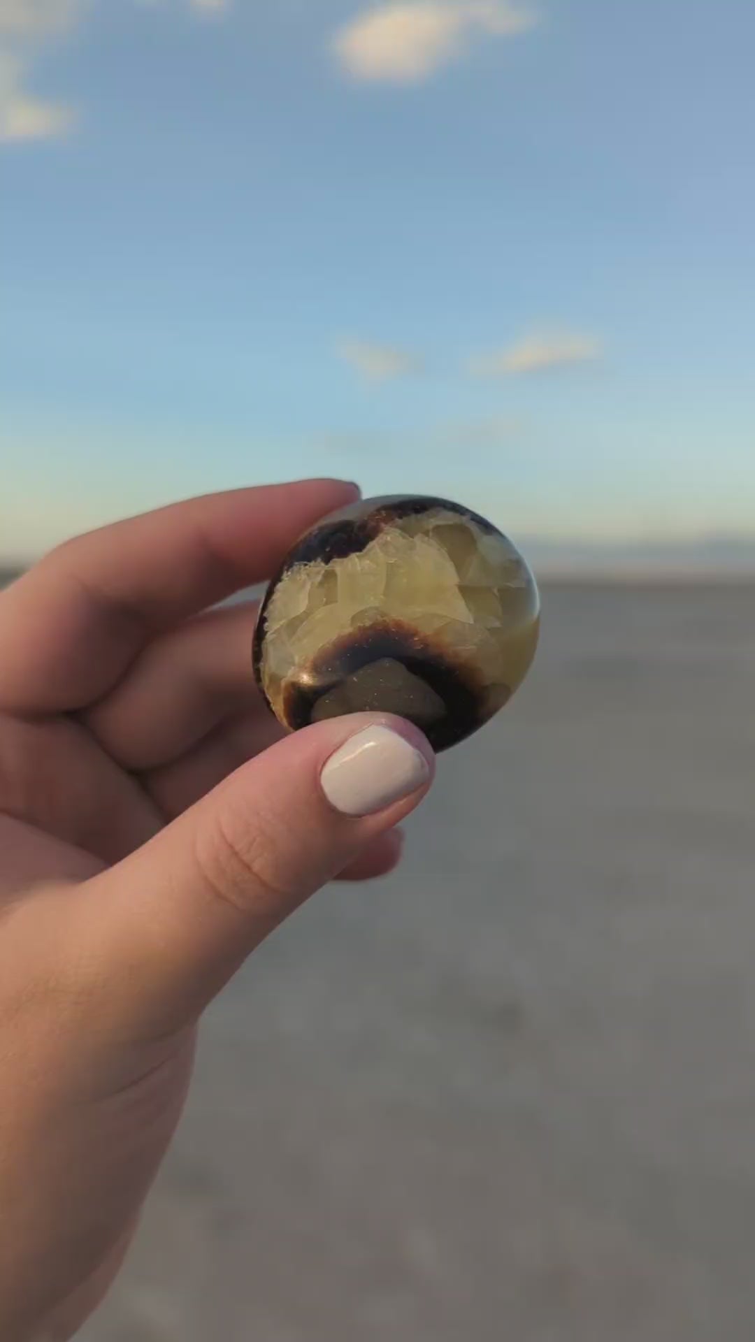 Septarian Palm Stone