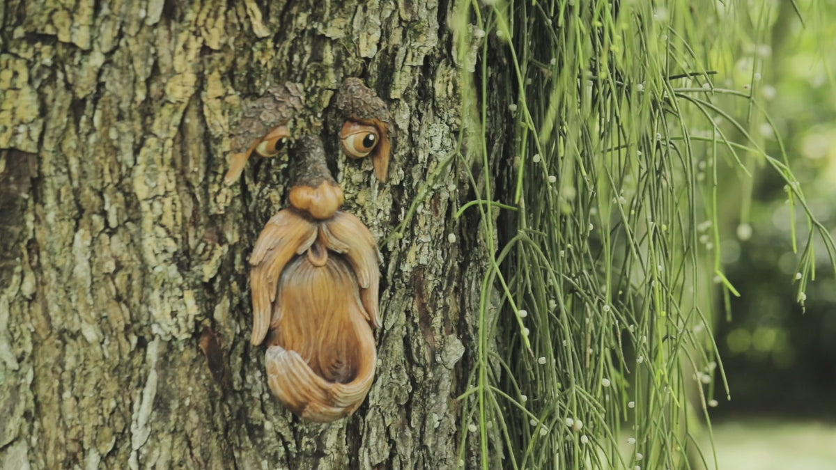 Tree Face