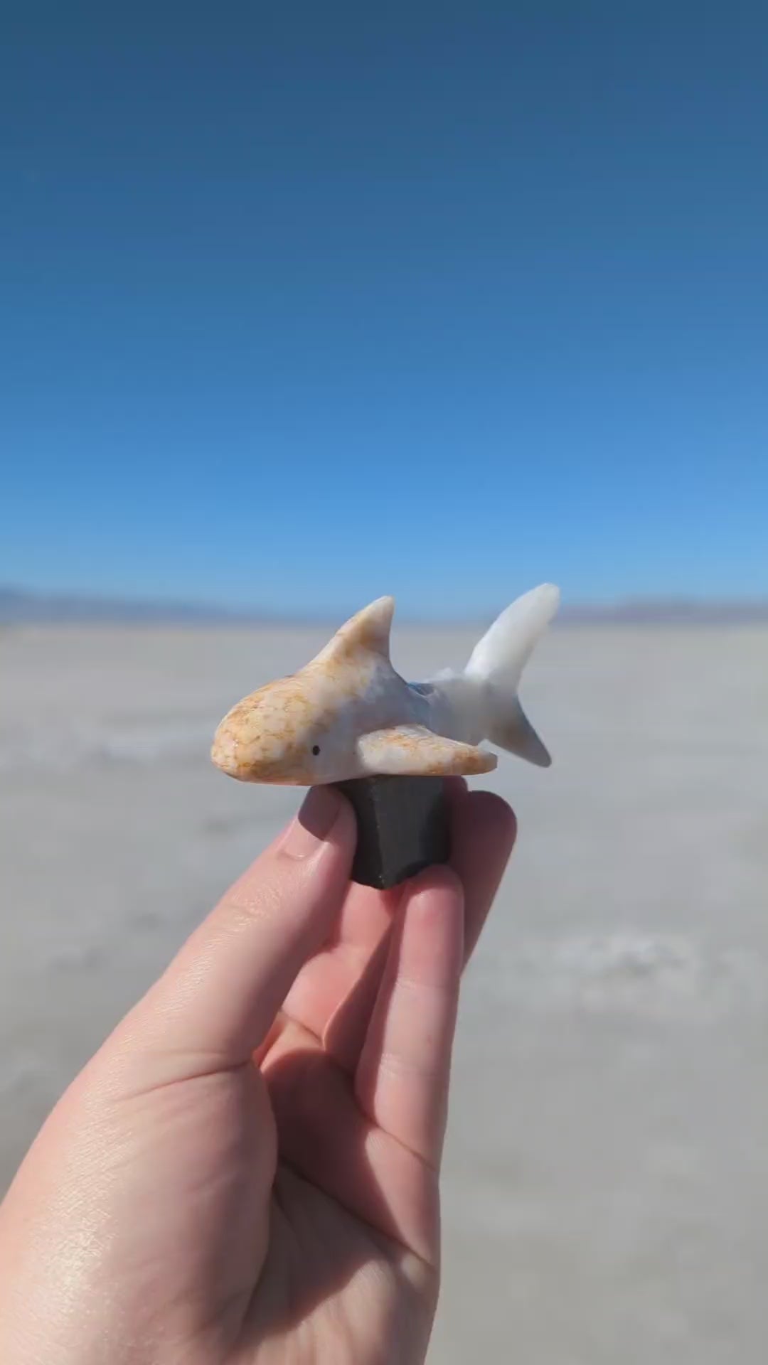 2'' Marble Shark With Stand