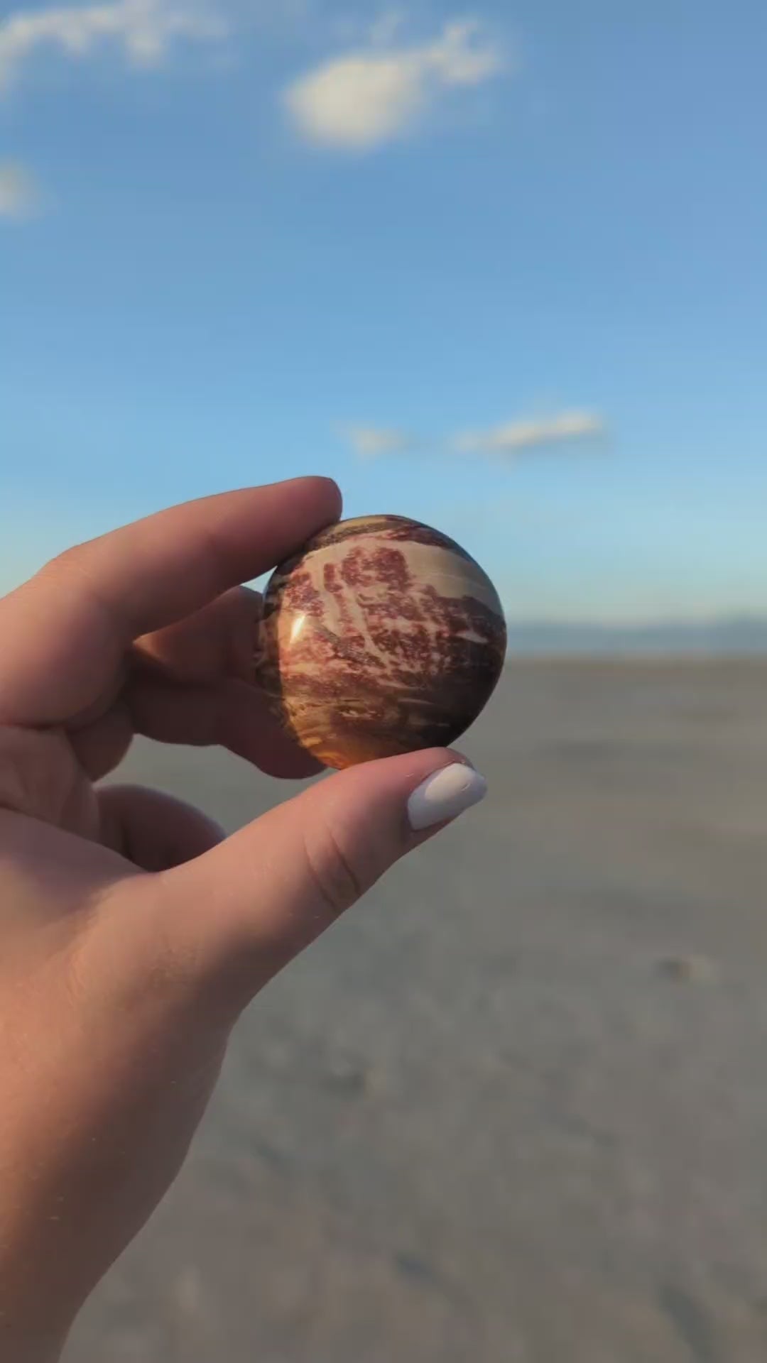 Petrified Wood Palm Stone