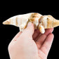 5'' Marble Crocodile