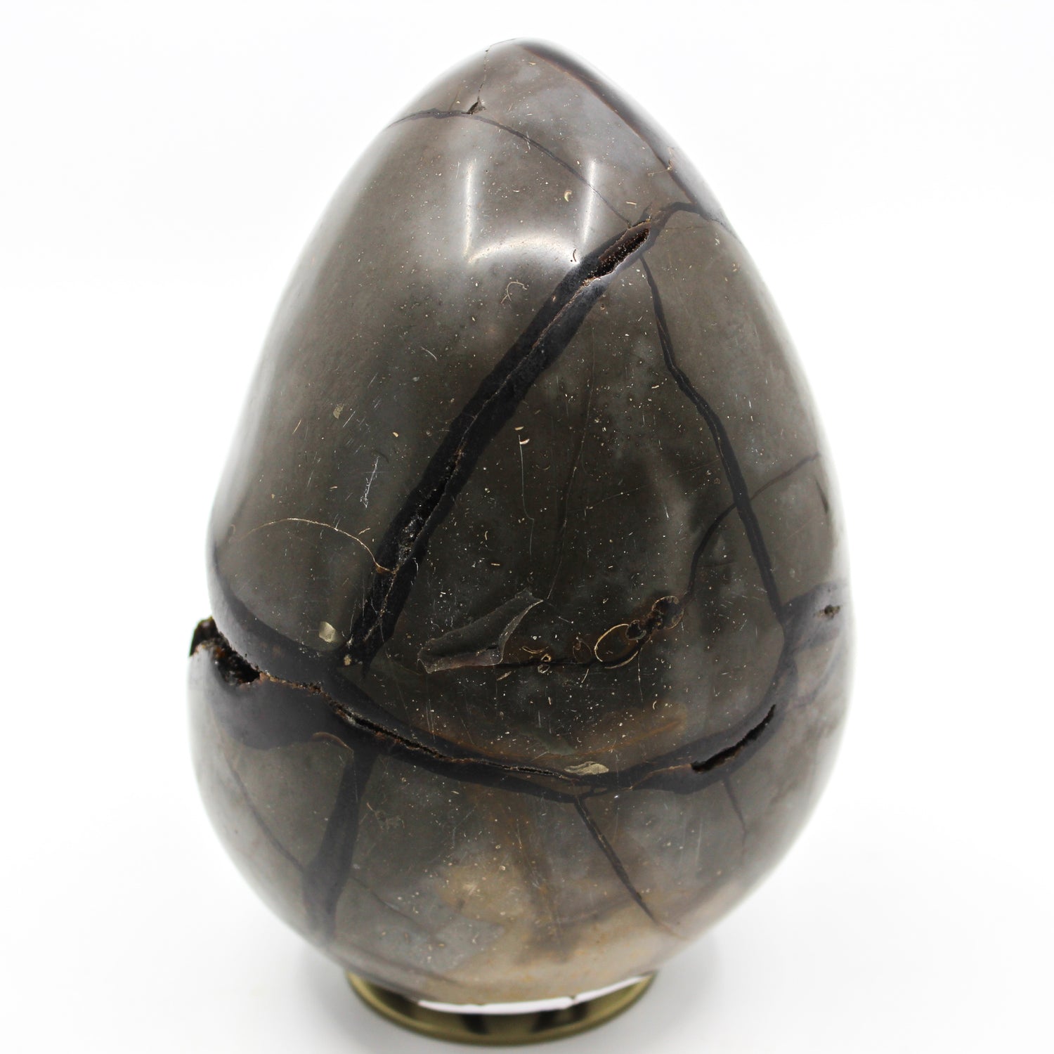 Septarian Dragon Egg 6-7"