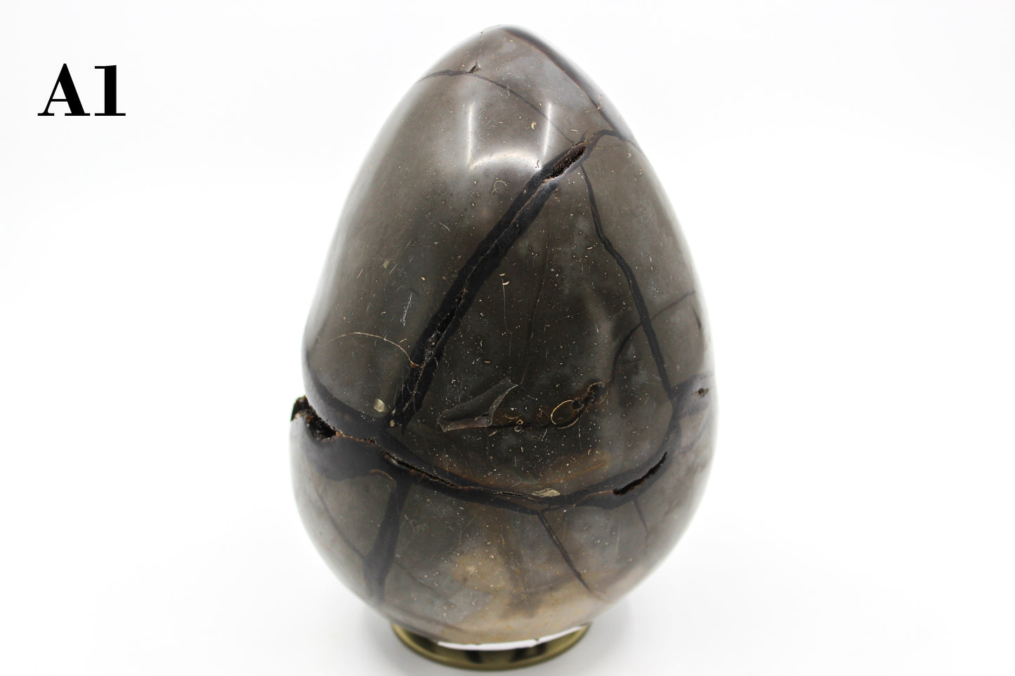 Septarian Dragon Egg 6-7"