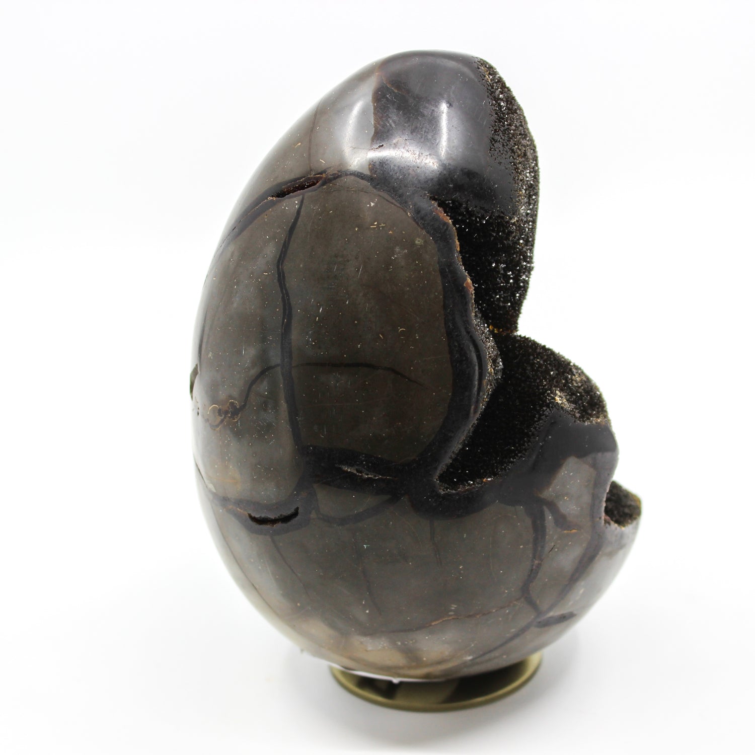 Septarian Dragon Egg 6-7"