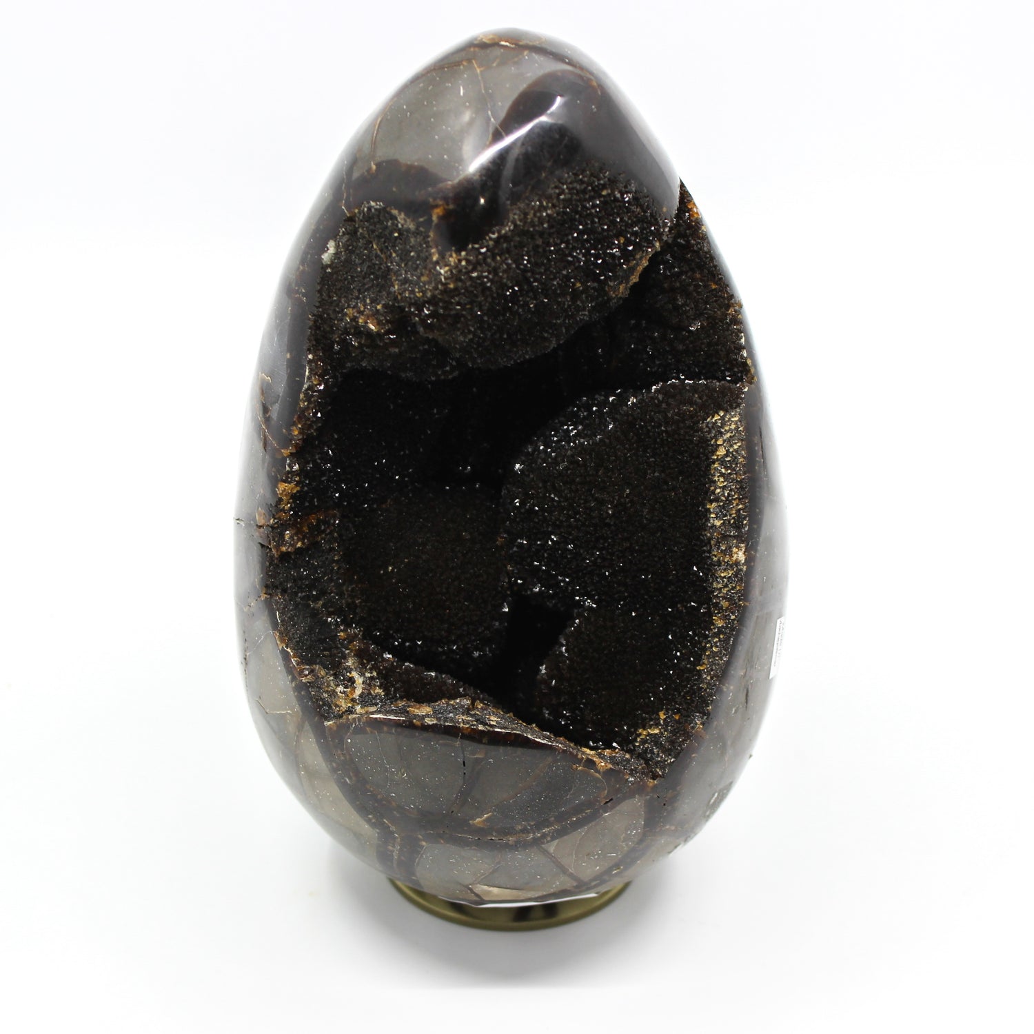 Septarian Dragon Egg 6-7"