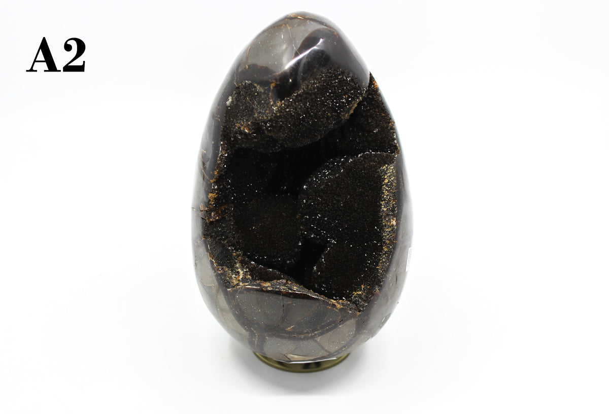 Septarian Dragon Egg 6-7"