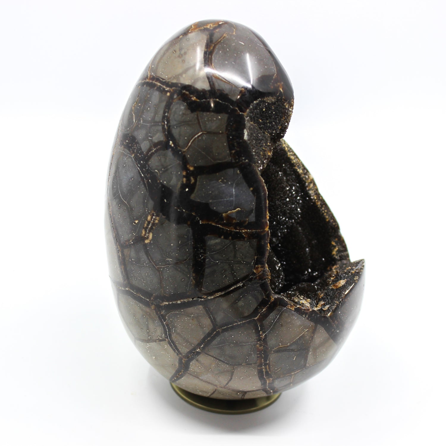 Septarian Dragon Egg 6-7"