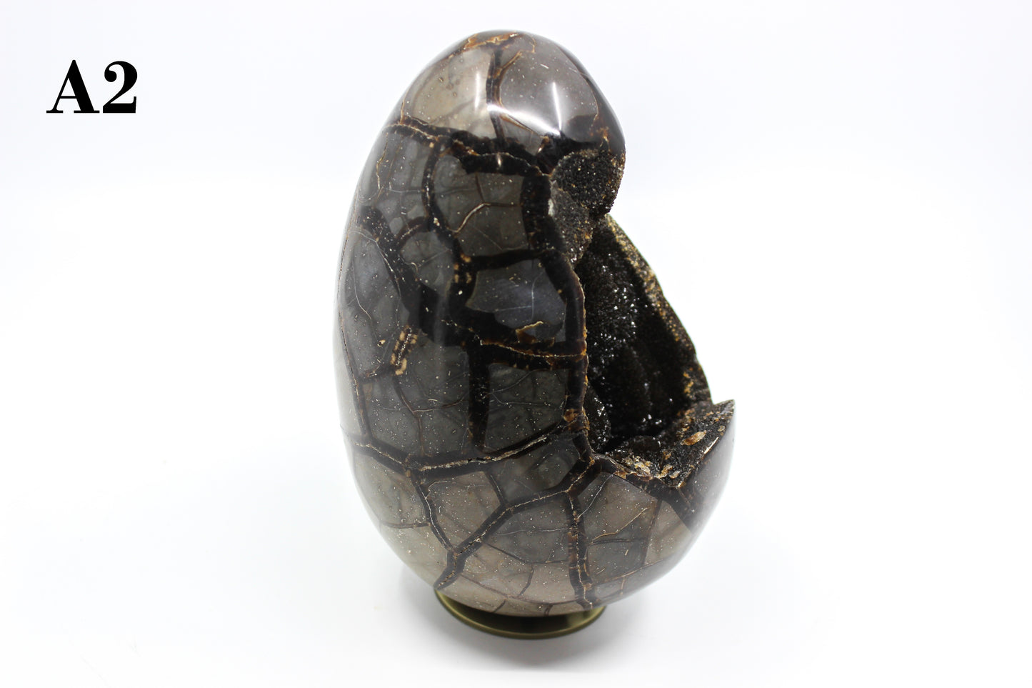 Septarian Dragon Egg 6-7"