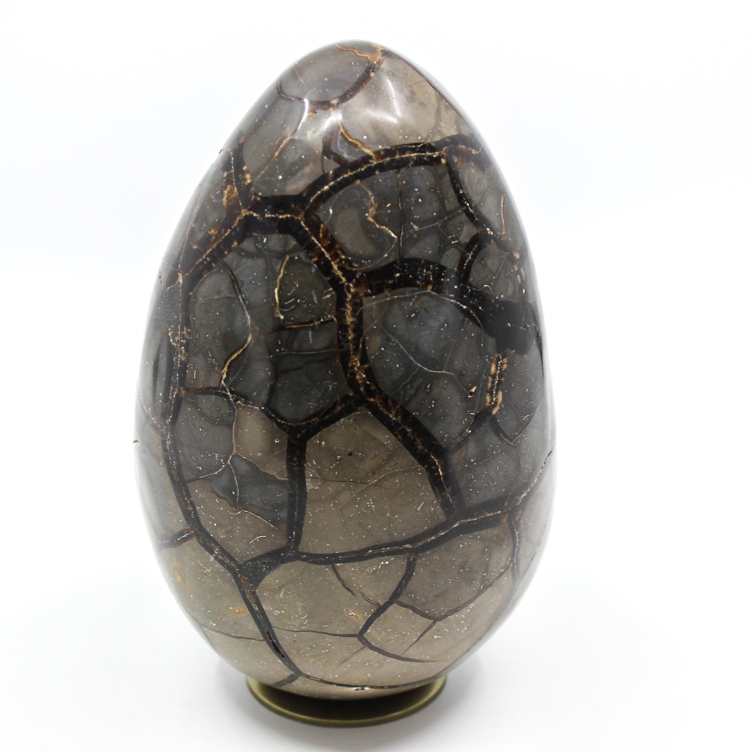 Septarian Dragon Egg 6-7"