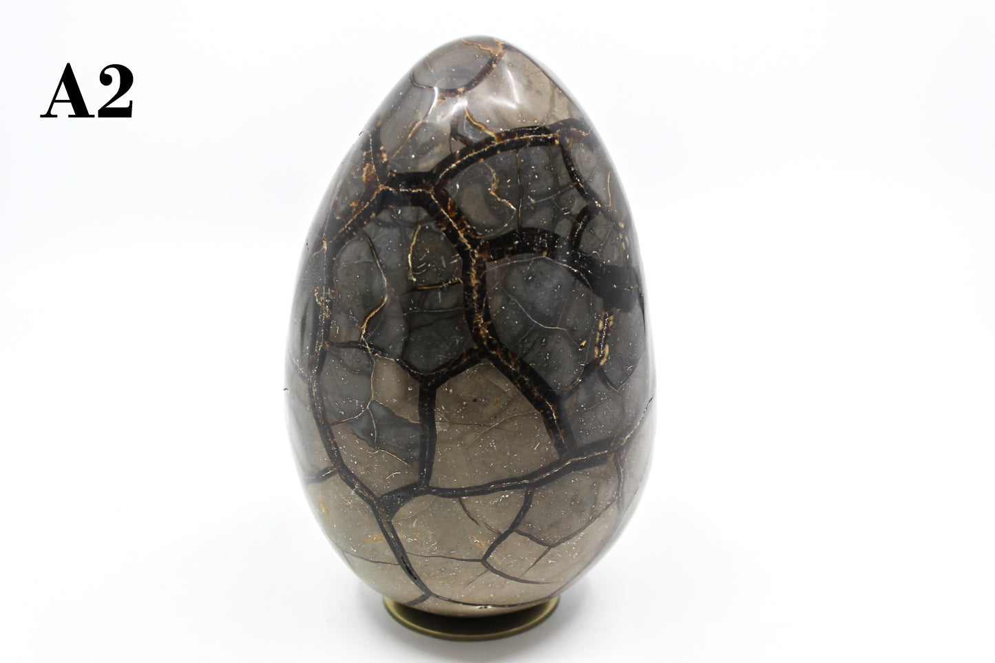 Septarian Dragon Egg 6-7"