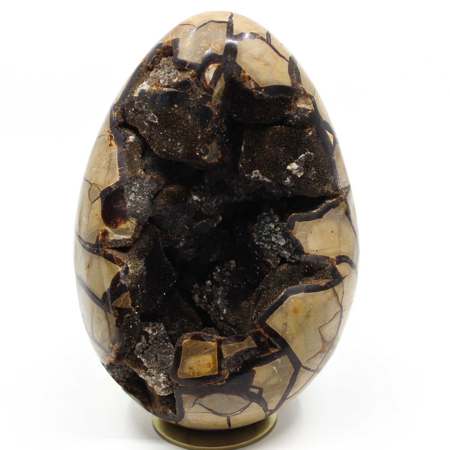 Septarian Dragon Egg 6-7"